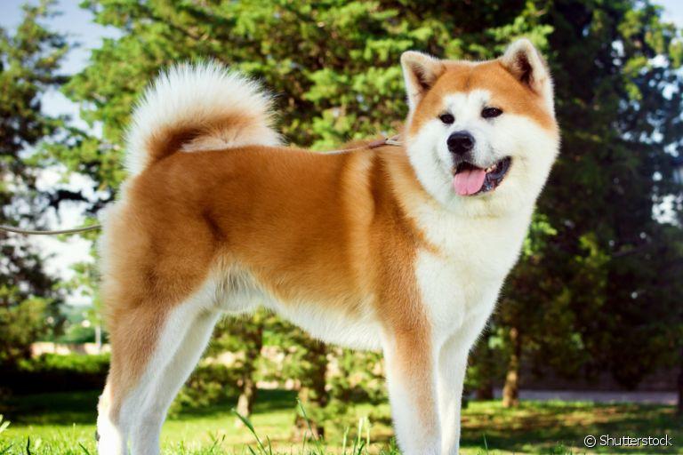 SshGwftGGKZo6HIEeCCmWHyKqH8_7pvHCeSmgFmNyomHMnAy1KzFsDKNBHEtbROcWAc5L3Kh6E2GJ2A5NtEZq9lAS8ySd0_lgv4zrOYq4CsD0LdM2EhBy0uuNFIazw0AnQvq9fAdidWEfGIY_GGtX-8WMhtbErXXzHV81PsBt63mqc6yTABlcz9Zk4k7lA8x